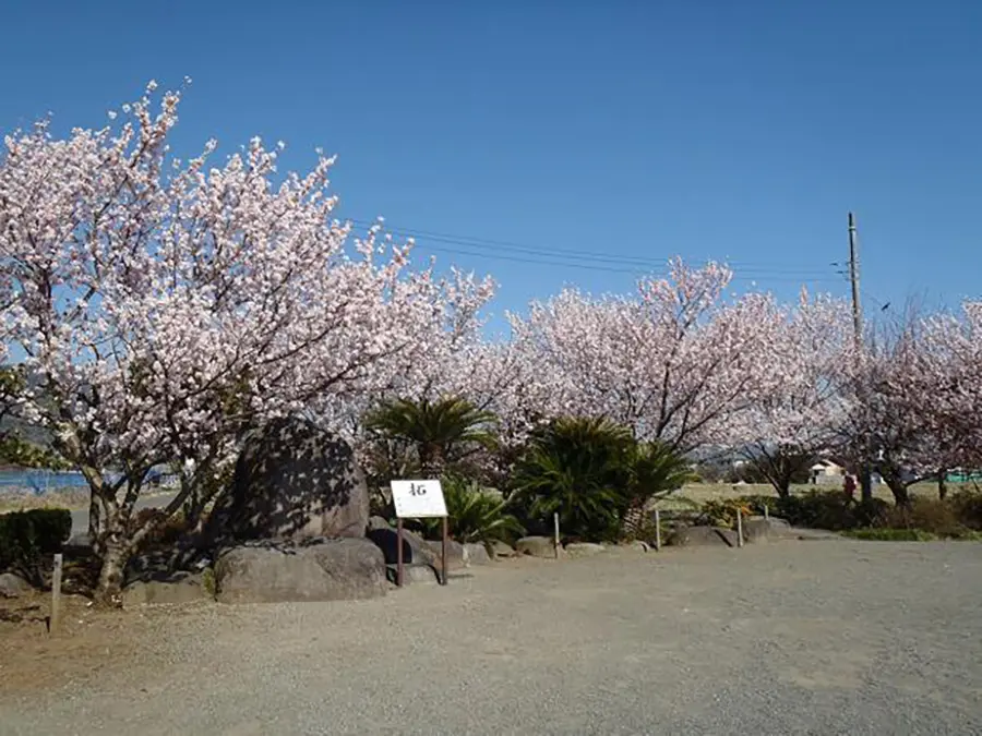 ふくざわ公園 イメージ