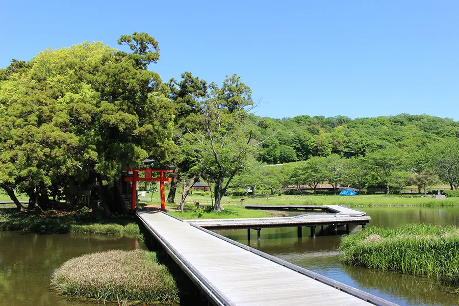 厳島湿生公園 イメージ