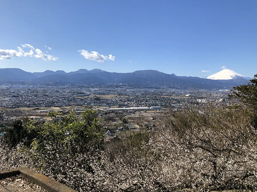 見晴台 イメージ