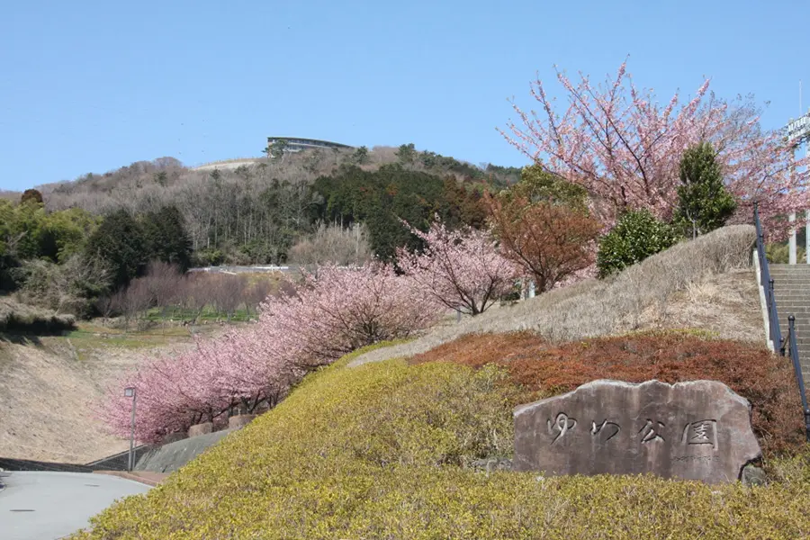 湯河原総合運動公園 イメージ