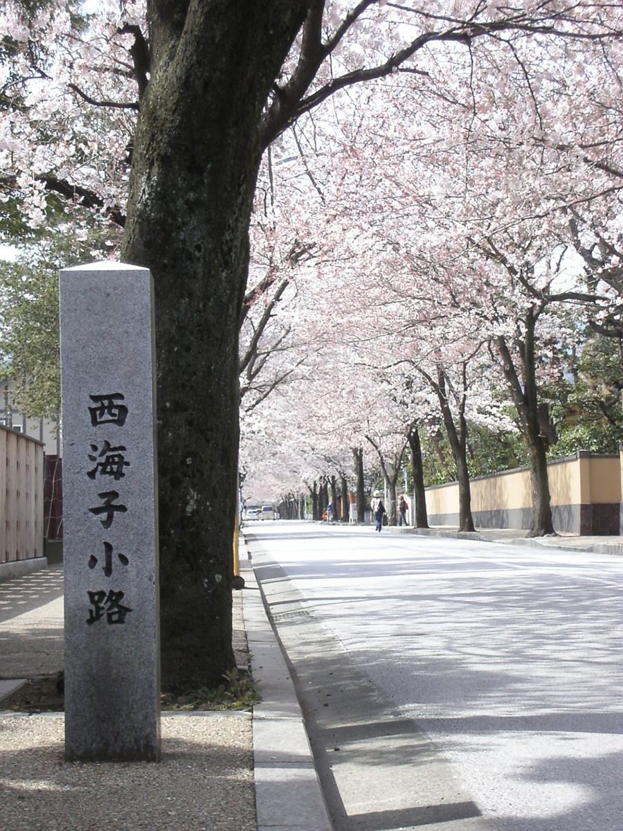 西海子小路 イメージ