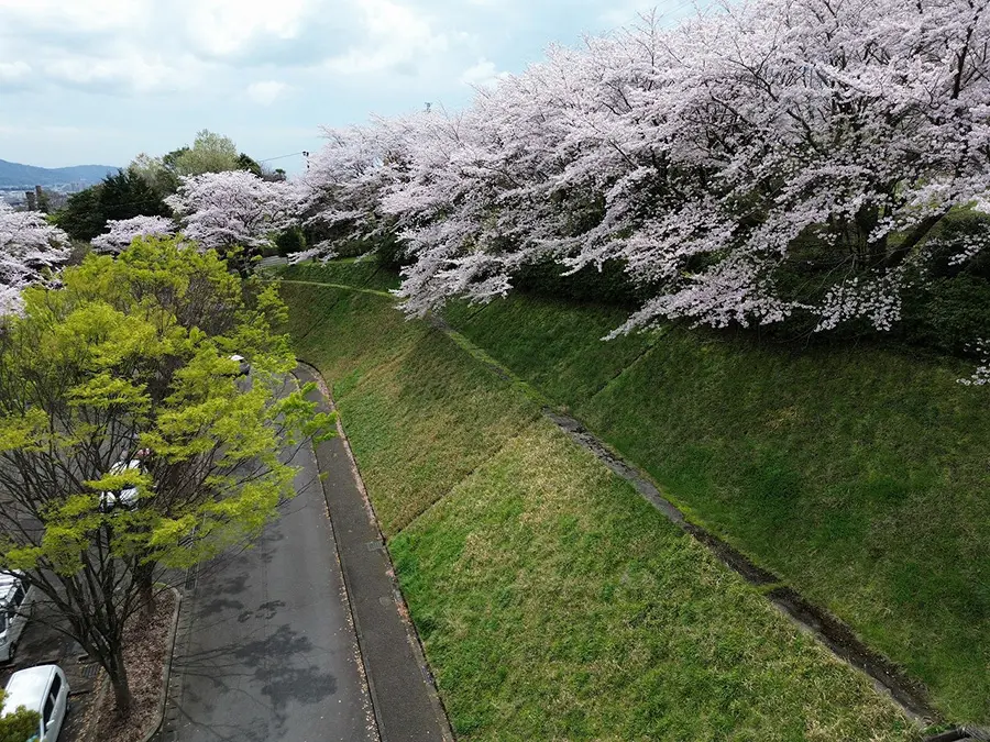 南足柄市運動公園 イメージ